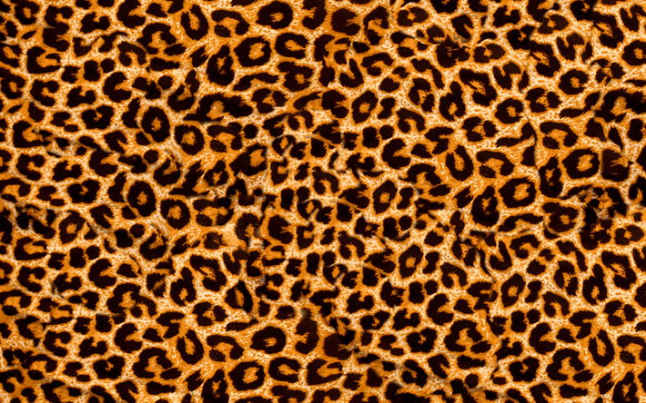 Fur