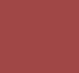 RAL_3016