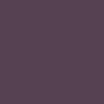 RAL_4007
