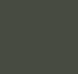 RAL_6007
