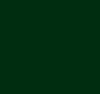 RAL_6009