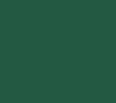 RAL_6016
