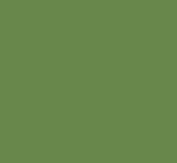 RAL_6017