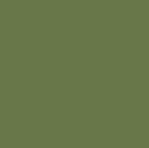 RAL_6025