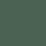 RAL_6028