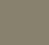 RAL_7002