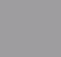 RAL_7004